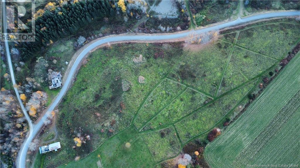 Beaconsfield Road Property Photo 11