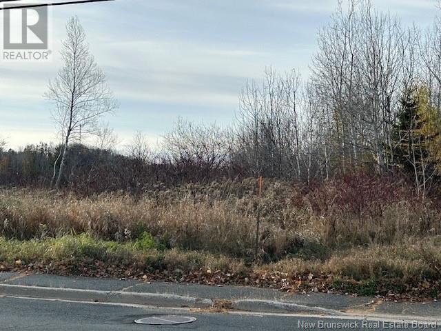874 Riverside Drive Property Photo 2