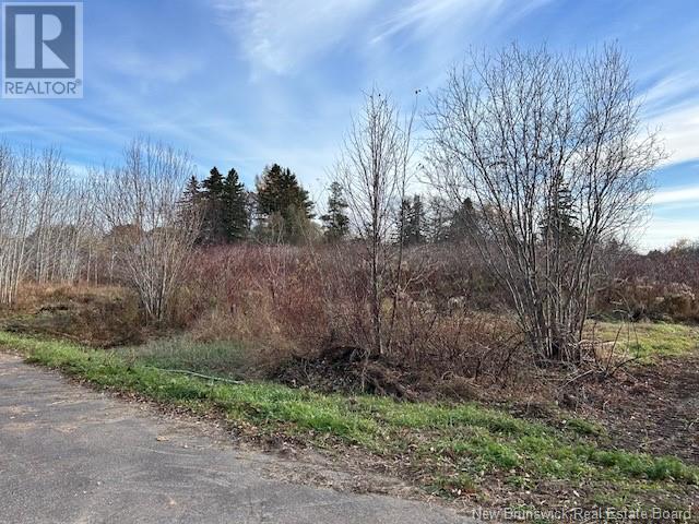 874 Riverside Drive Property Photo 3
