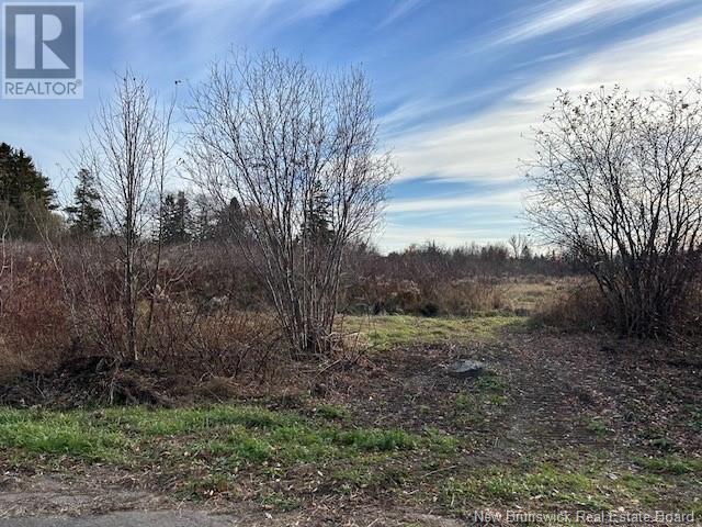 874 Riverside Drive Property Photo 4