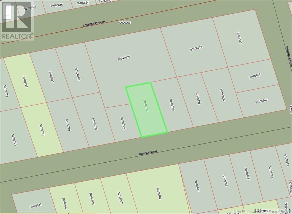 41 Duncan Street Property Photo 9