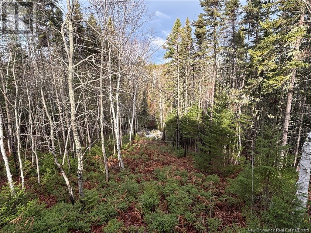 Camp Chemin Val-michaud Property Photo 17