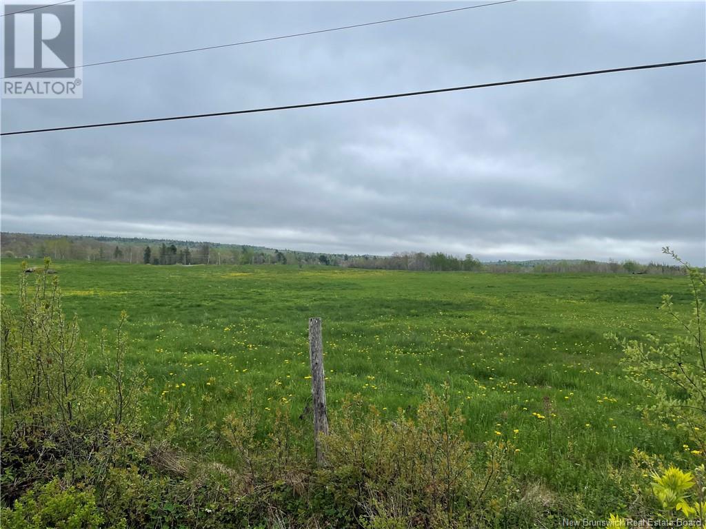 Lot A Route 705 Property Photo 3