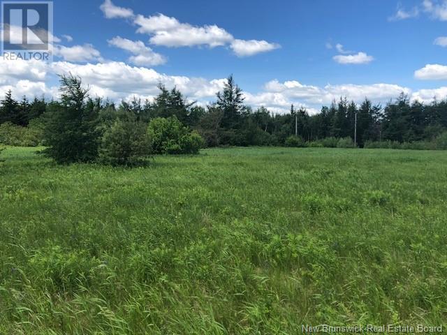 Lot Indian Island Drive Property Photo 5