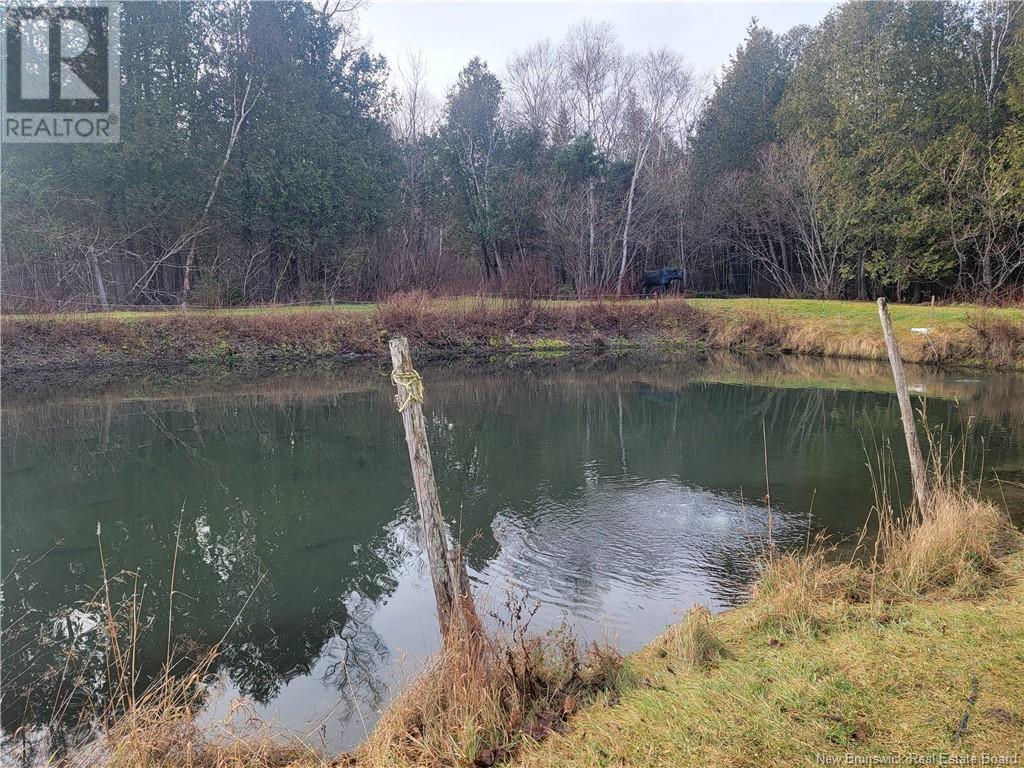 91 Des Ormes Property Photo 11