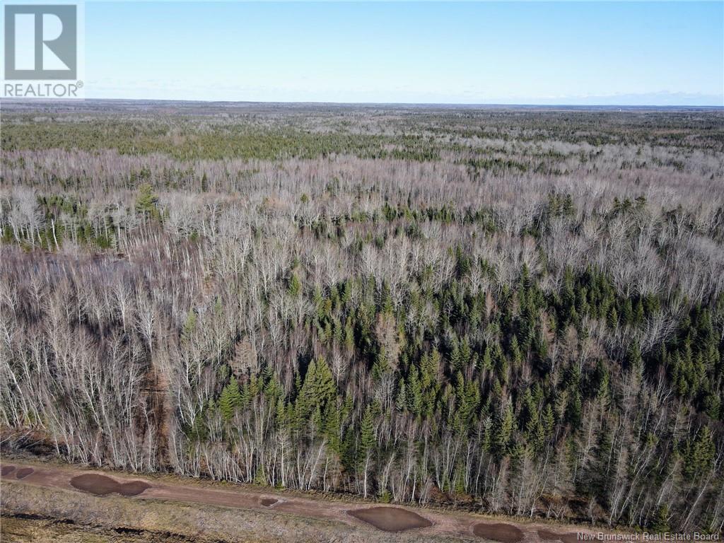 4 Lots Off Hwy 2 Property Photo 5