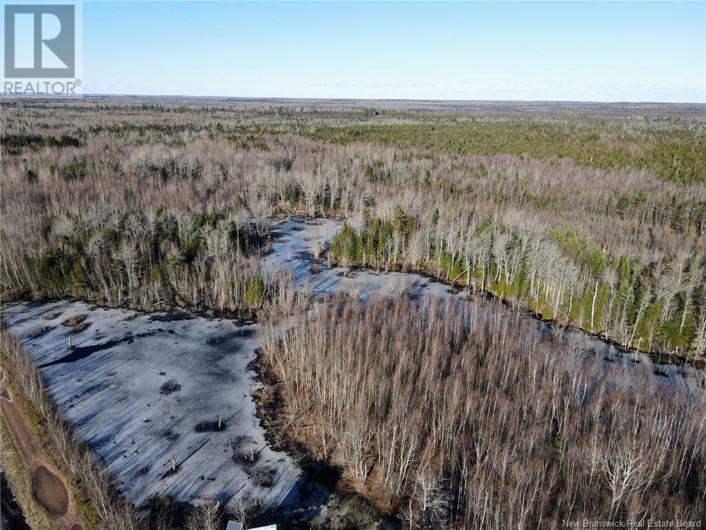 4 Lots Off Hwy 2 Property Photo 8