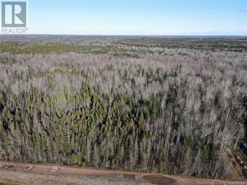 4 Lots Off Hwy 2 Property Photo 12