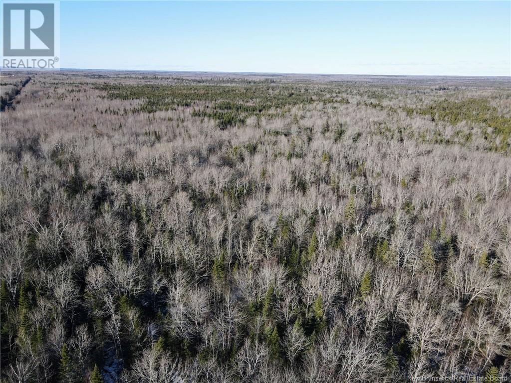 4 Lots Off Hwy 2 Property Photo 15