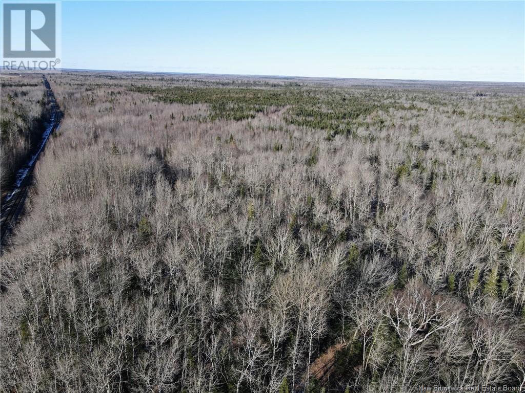 4 Lots Off Hwy 2 Property Photo 16