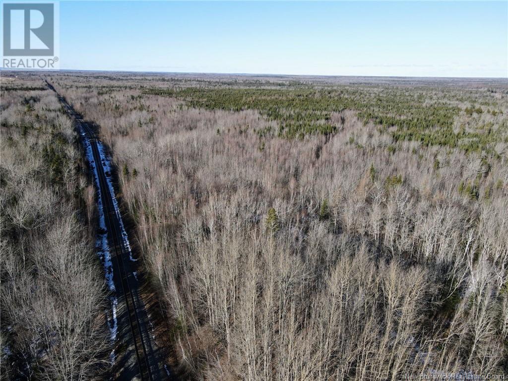 4 Lots Off Hwy 2 Property Photo 19