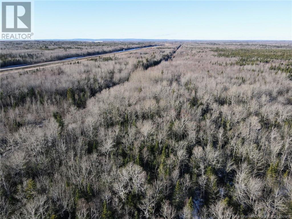 4 Lots Off Hwy 2 Property Photo 20