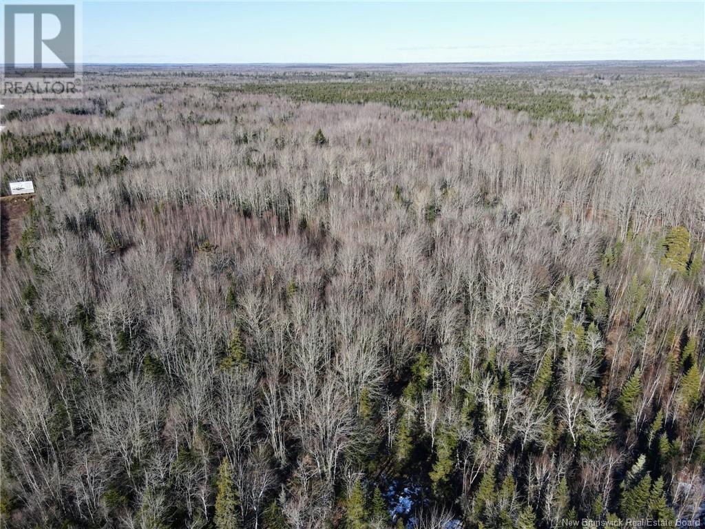 4 Lots Off Hwy 2 Property Photo 26
