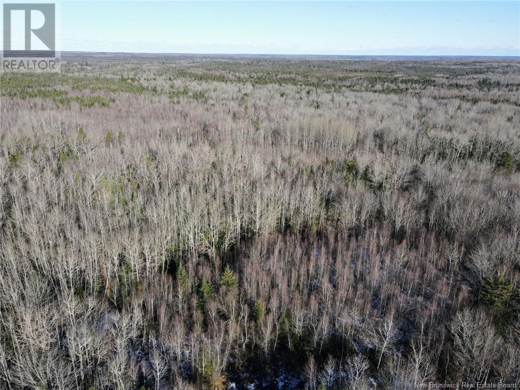 4 Lots Off Hwy 2 Property Photo 30