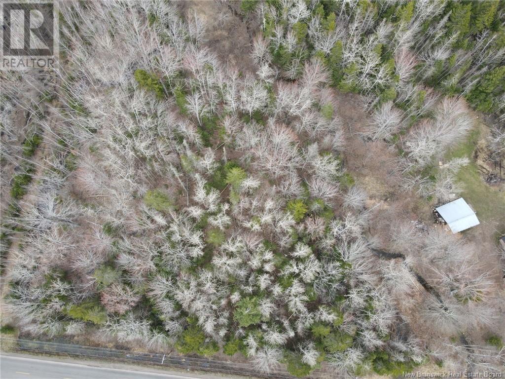Lot 73-5 Route 490 Property Photo 1