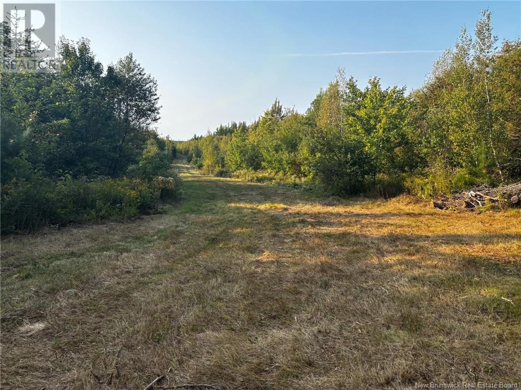 Cumberland Bay South Road Property Photo