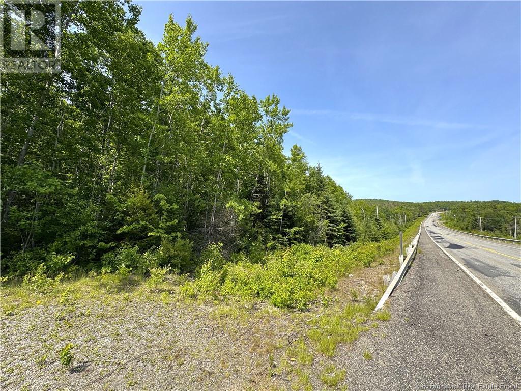 000 Route 127 Property Photo 13