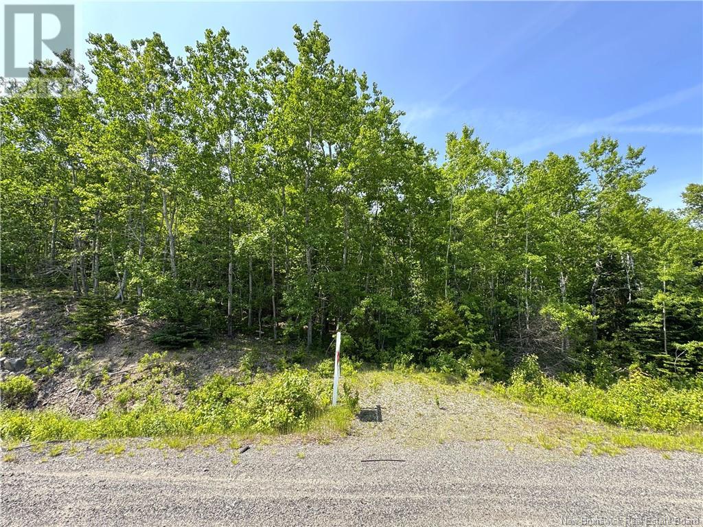 000 Route 127 Property Photo 14