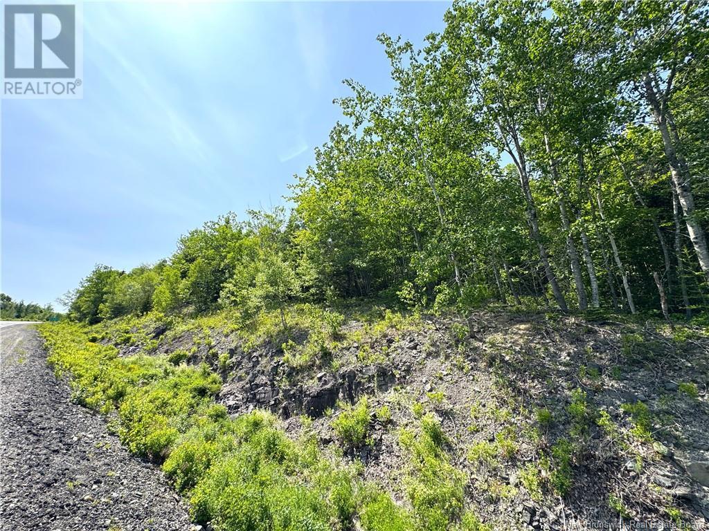 000 Route 127 Property Photo 15