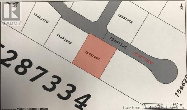 Lot 09-20 Rosie Street Property Photo 11