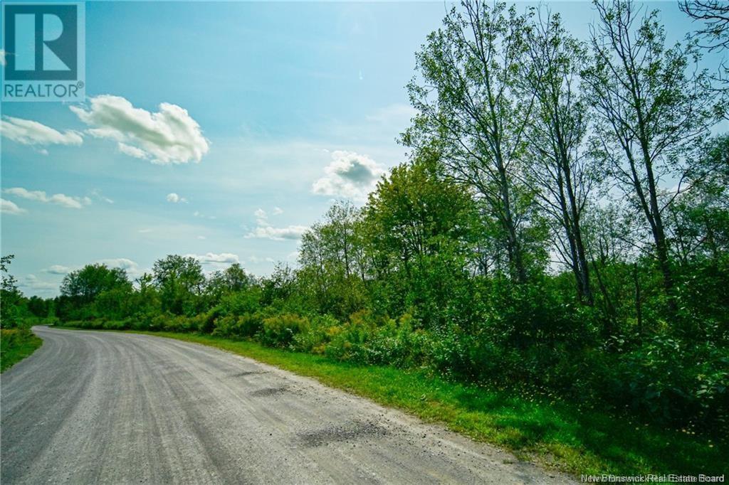Lot 3 Cnr Road Property Photo 6