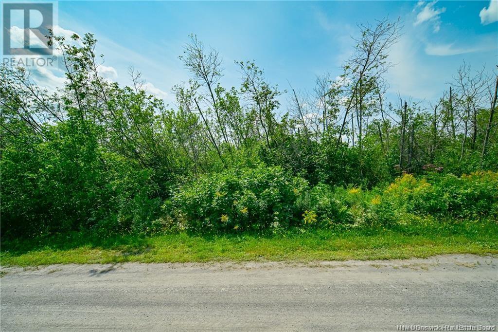 Lot 3 Cnr Road Property Photo 8