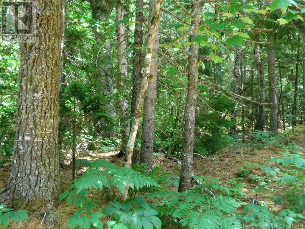 Berryton Real Estate Listings Main Image