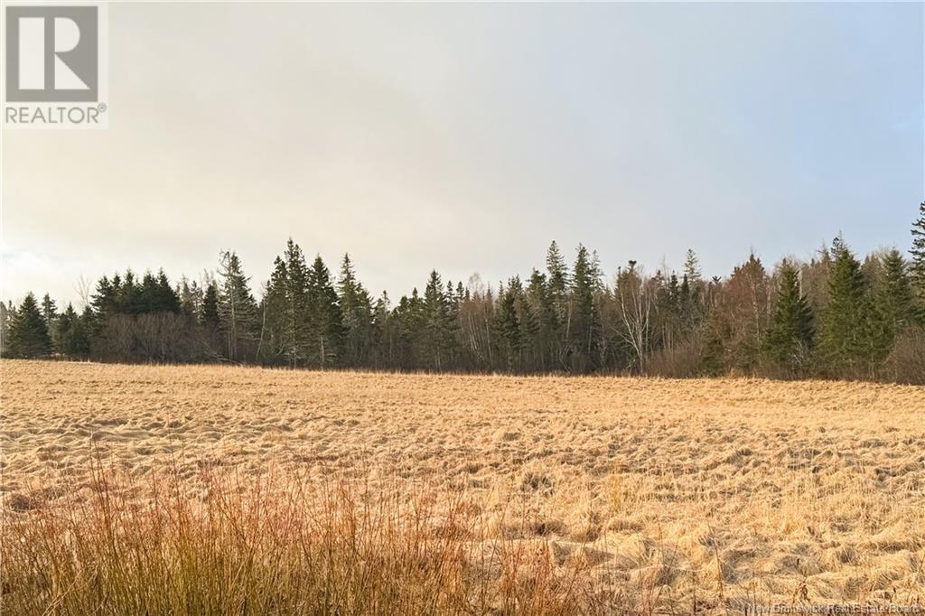Lot 24-1 Fairfield Road Property Photo 5
