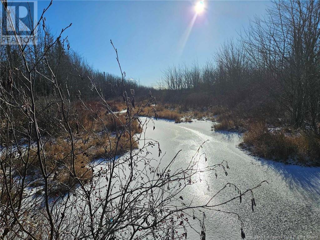 1633 Route 950 Property Photo 3