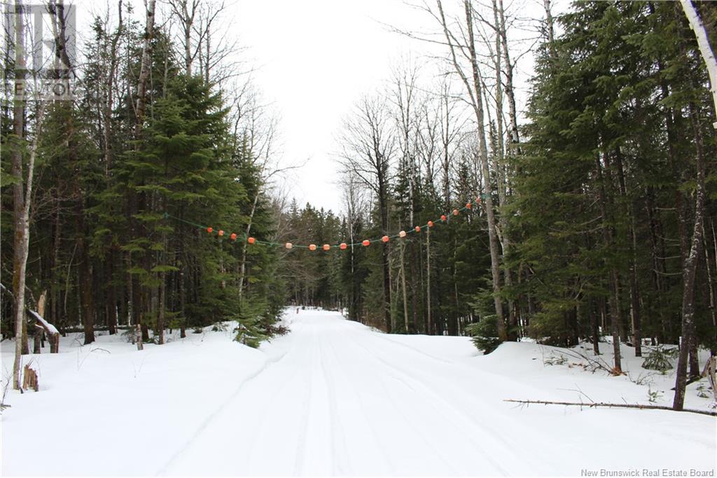 2715 Chemin Cormier Road Property Photo 2