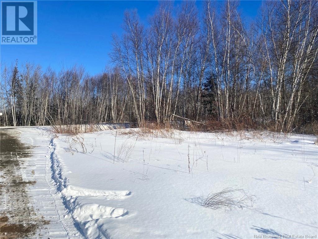 395 Route 630 Property Photo 11