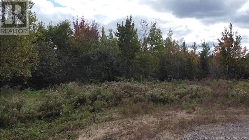 395 Route 630 Property Photo 12