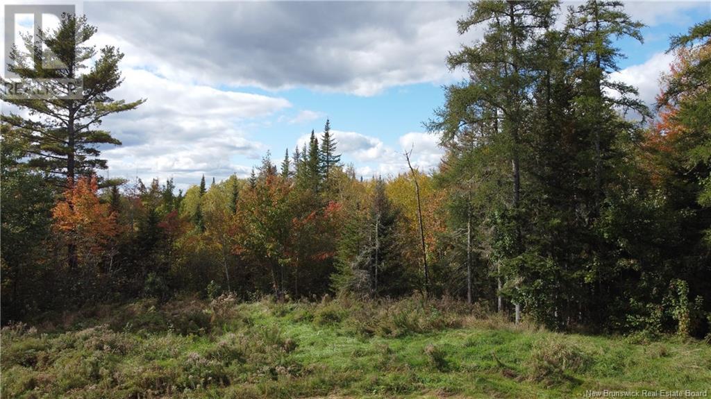 395 Route 630 Property Photo 13