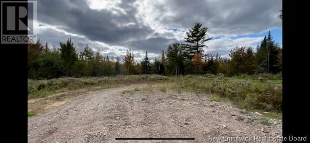 395 Route 630 Property Photo 15