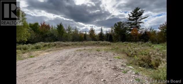 395 Route 630 Property Photo 16