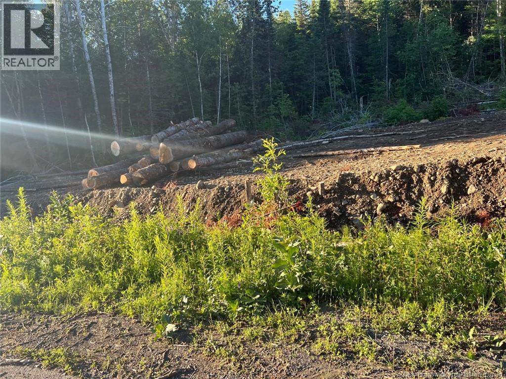 Lot Critter Road Property Photo 11