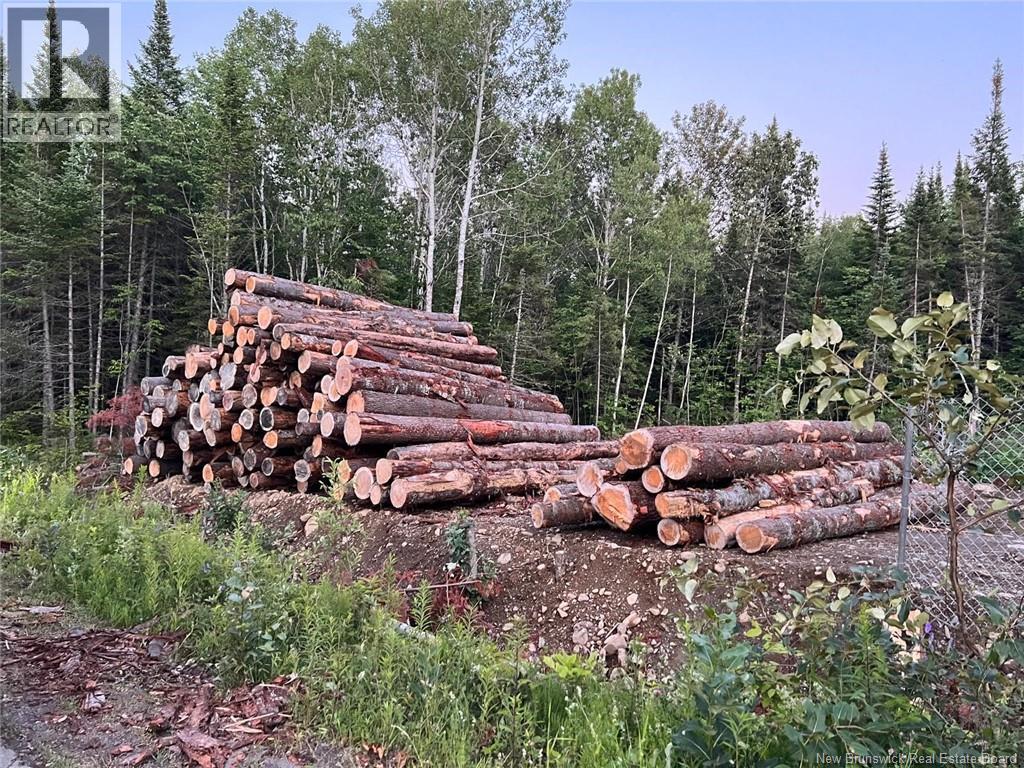 Lot Critter Road Property Photo 12