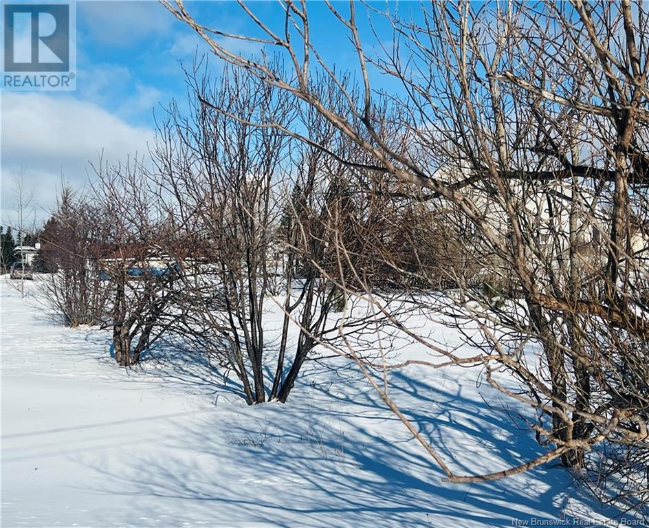 112 Rue Des Champs Property Photo 3