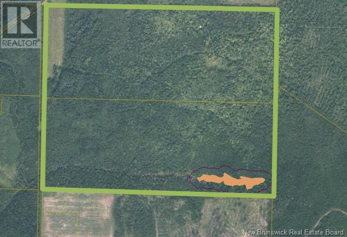 200 Acres Walker Road Property Photo 1