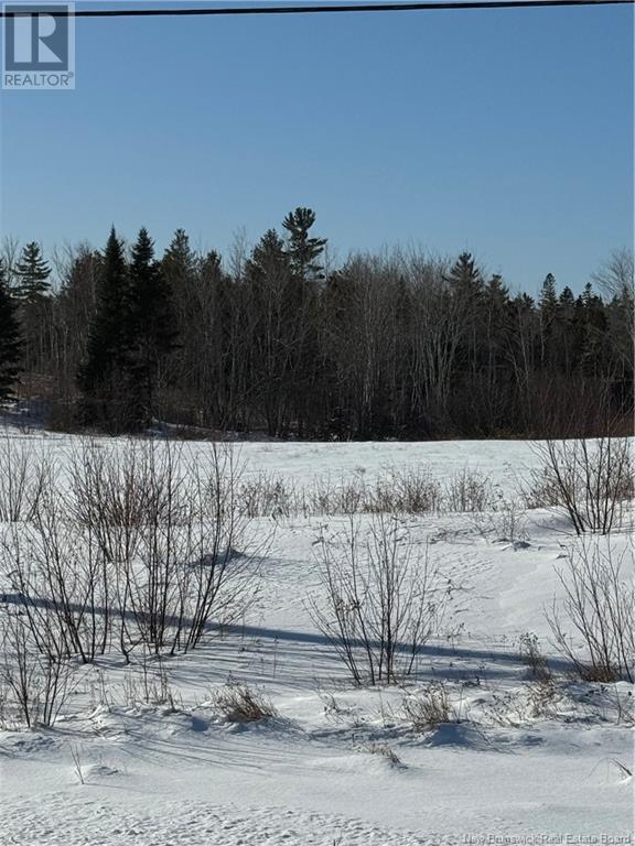 Lot C Route 134 Property Photo 3