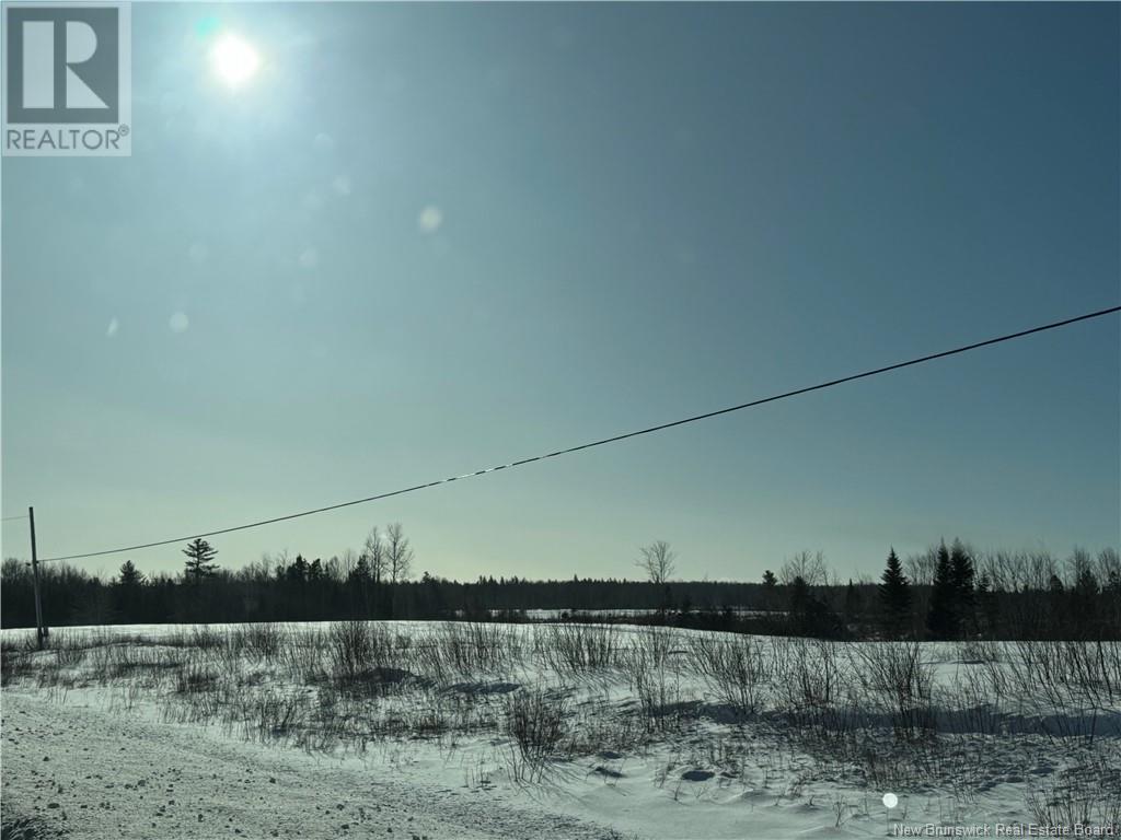 Lot C Route 134 Property Photo 4