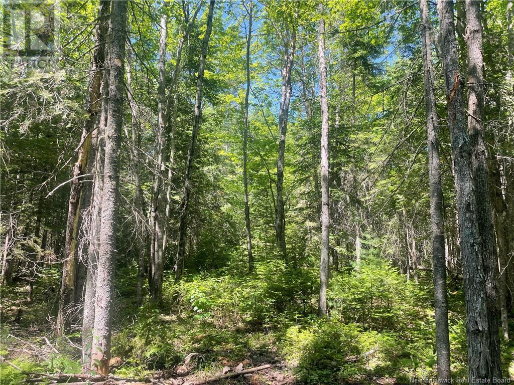 Cox Point Road Property Photo 3