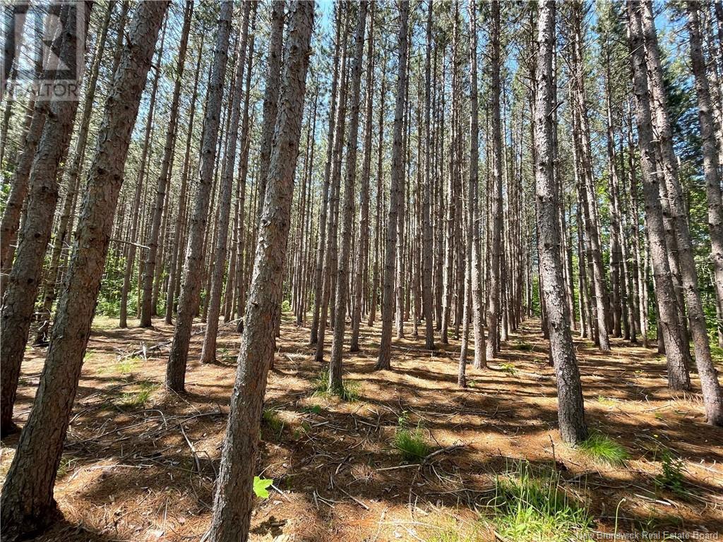 Cox Point Road Property Photo 6
