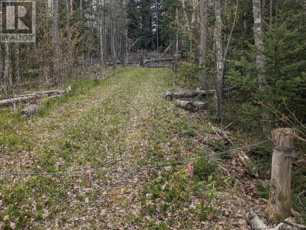 Lot Upper Cape Road Property Photo
