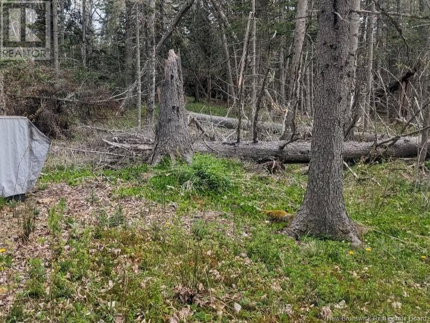 Lot Upper Cape Road Property Photo 2