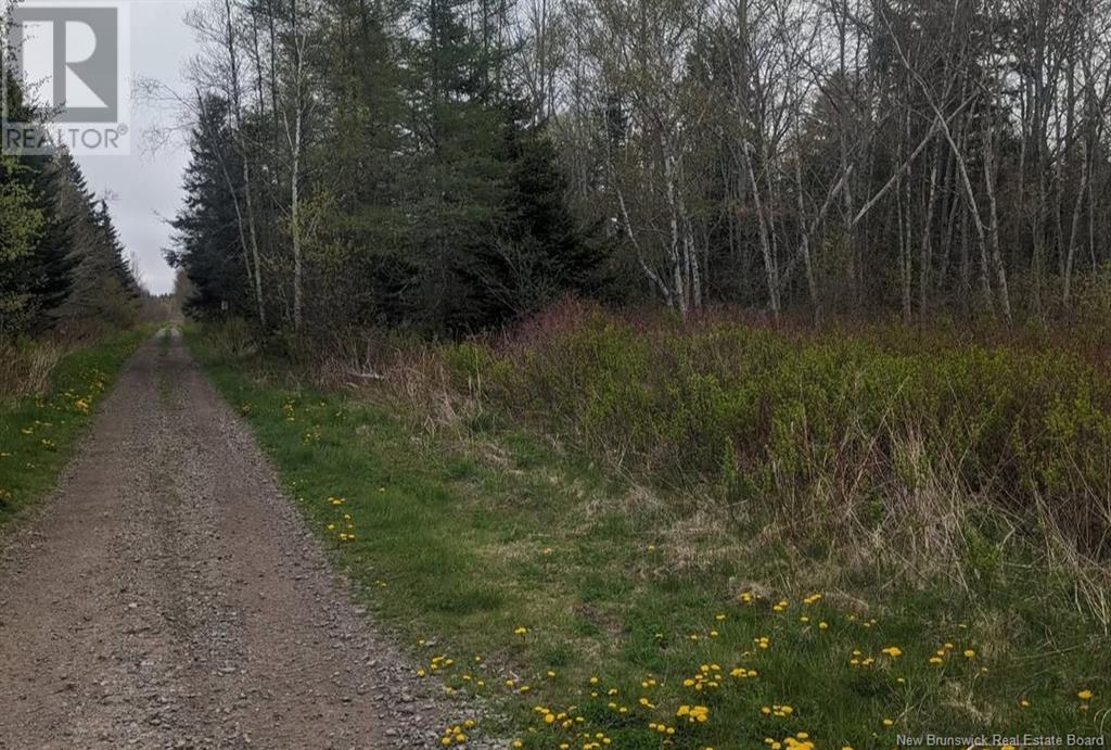 Lot Upper Cape Road Property Photo 3