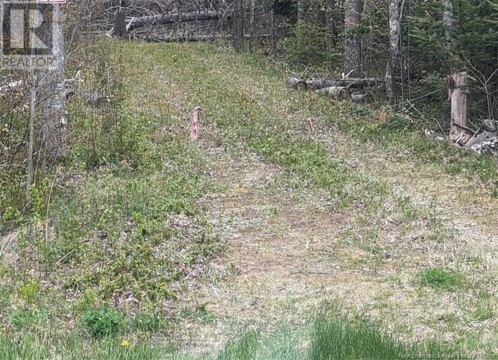 Lot Upper Cape Road Property Photo 4