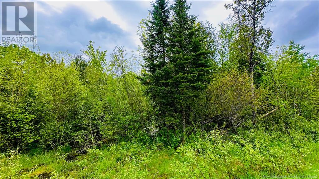 0 540 Route Property Photo 8