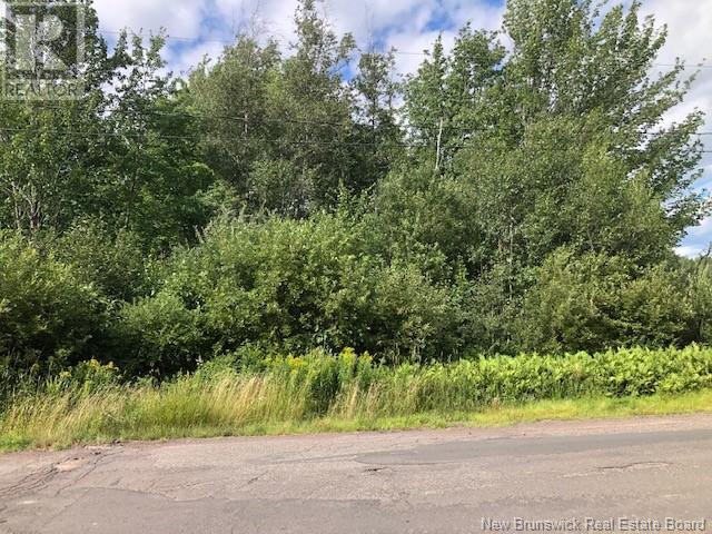 740 Des Dallaires Property Photo 2