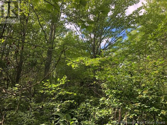 740 Des Dallaires Property Photo 6